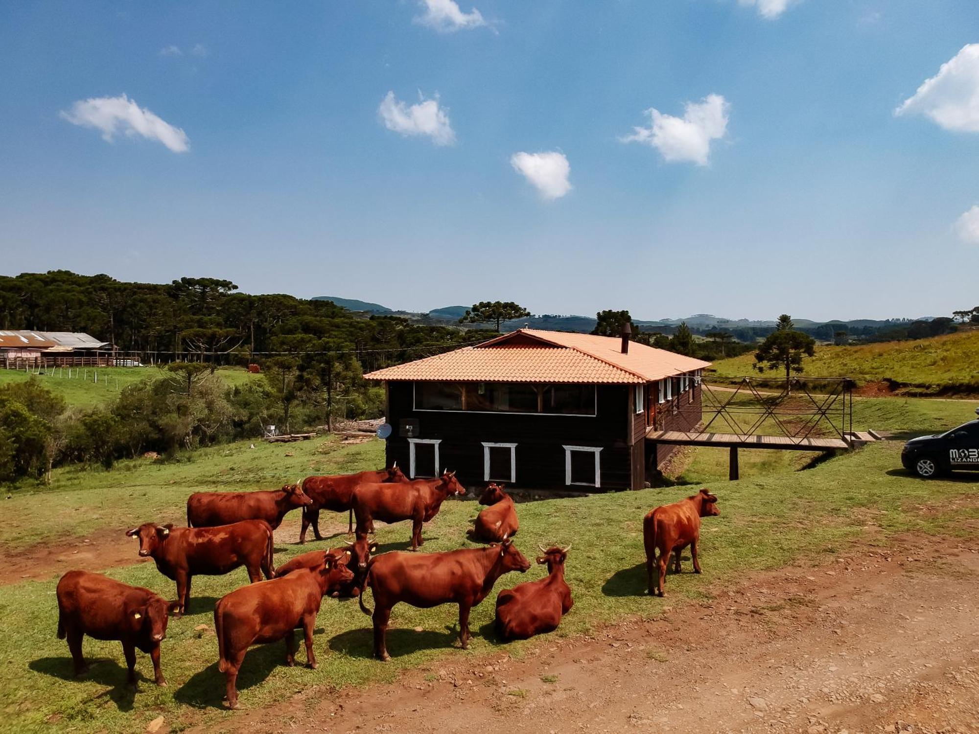 Fazenda Invernada Grande Turismo Rural Bom Jardim da Serra Exterior foto